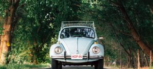 السيارة القديمة في المنام