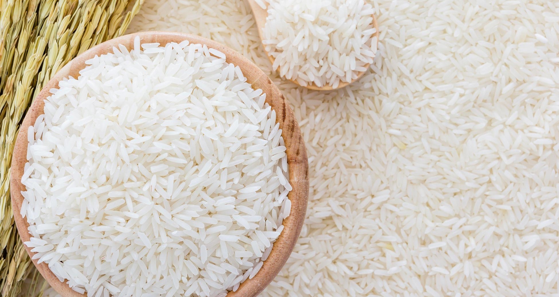Suchá rýže ve snu