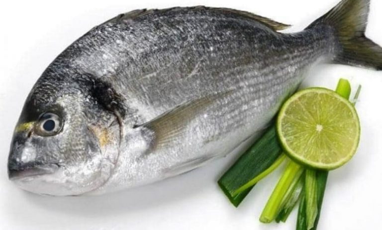 السمك في الحلم