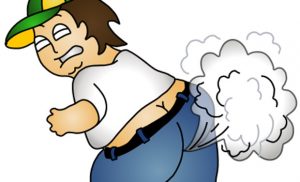 الريح في المنام