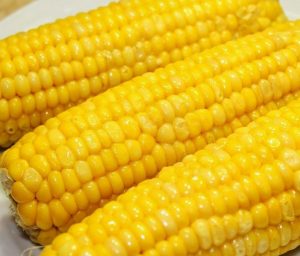 تفسير حلم الذرة