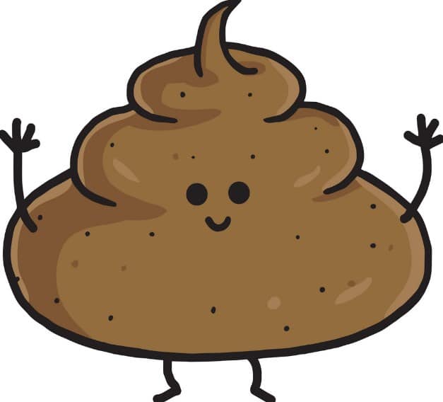 تفسير حلم براز الطفل للمطلقة