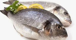 Ερμηνείες ονείρων μεγάλων ψαριών