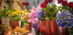 Roses in a dream for single women