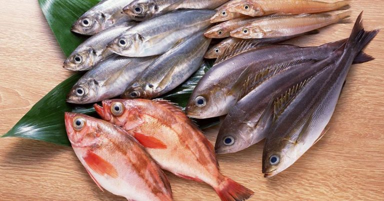 السمك في المنام للمتزوجة