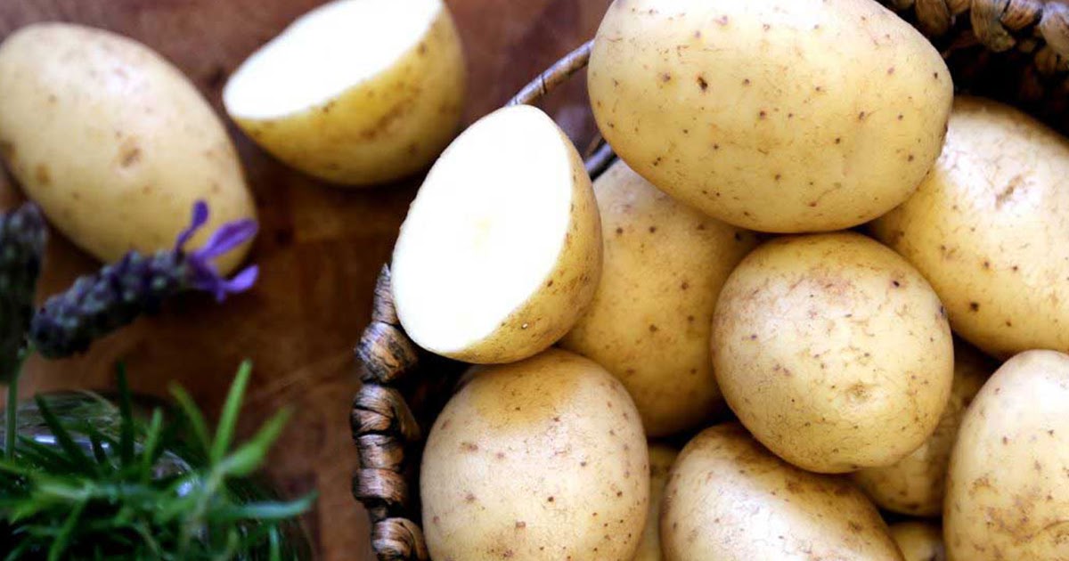 kentang ing ngimpi