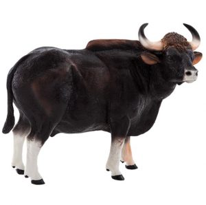 Veure un toro en un somni