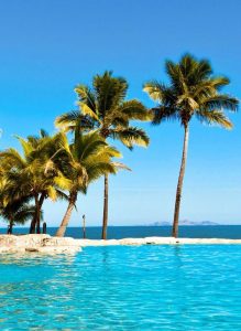 Seeing palm trees in a dream