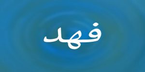 The meaning of the name Fahd in a dream