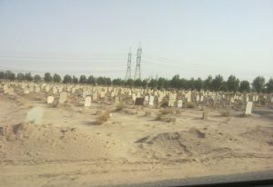 زيارة المقبرة في المنام