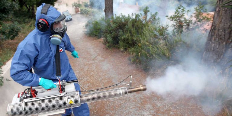 تفسير حلم رش الصراصير بالمبيد 