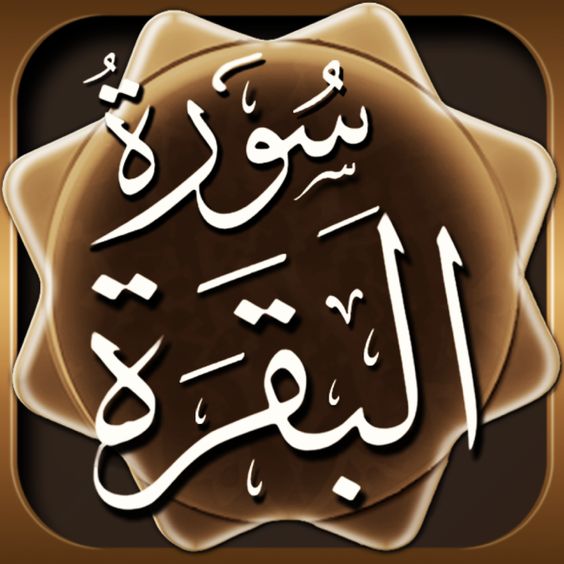 تفسير حلم قراءة سورة البقرة