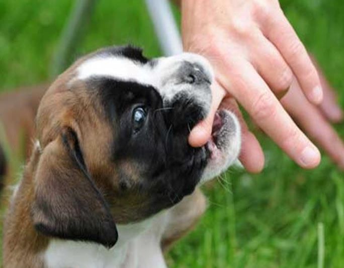 Лесбиянкалар желіде кемпірді азғырған Әйелі есінен танып, жуынатын бөлмеде трусисын жуайын деп еді, күйеуі оның сөзін бөліп жіберді.