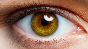 تفسير حلم بؤبؤ العين