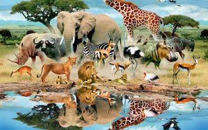 تفسير حلم هجوم حيوان مفترس