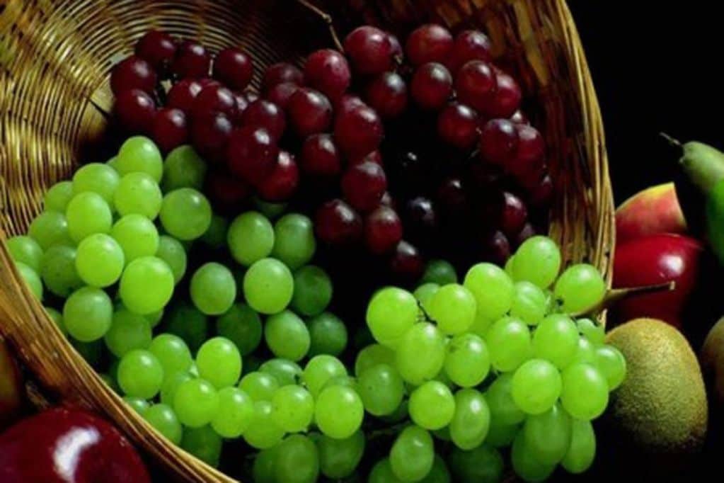 أكل العنب في المنام - اسرار تفسير الاحلام