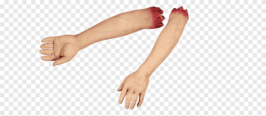 png кліпарт вялікі палец рука адрэзаная цела чалавека канечнасць рука цела рука нага - Таямніцы Соннік