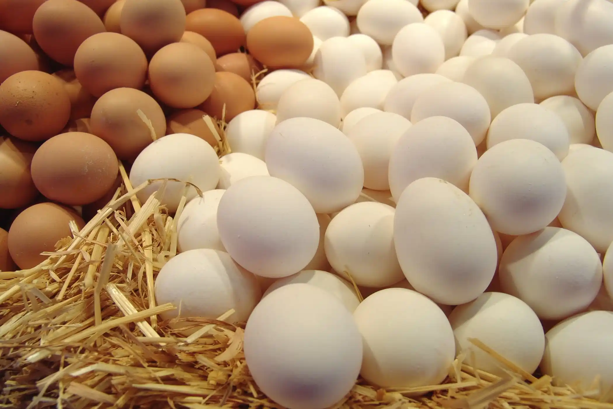  البيض في المنام - اسرار تفسير الاحلام