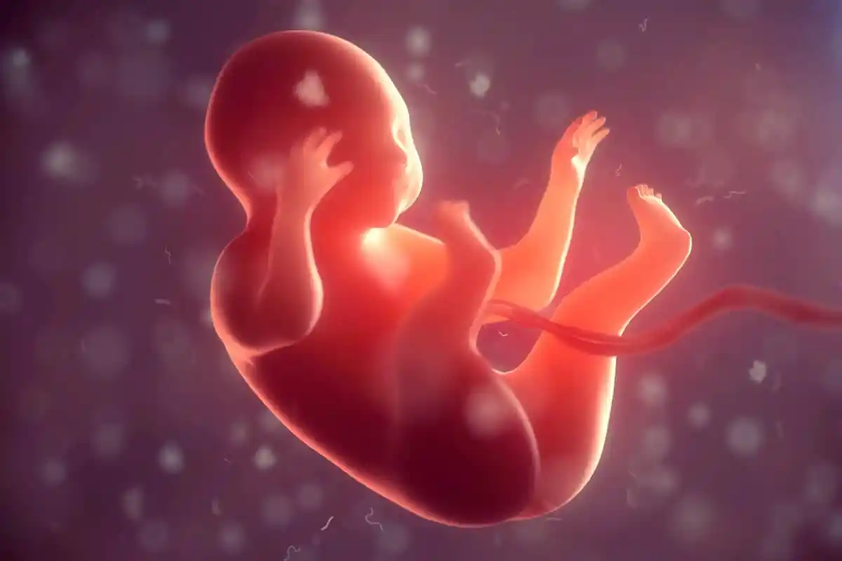 Sen o potratu - tajemství výkladu snu