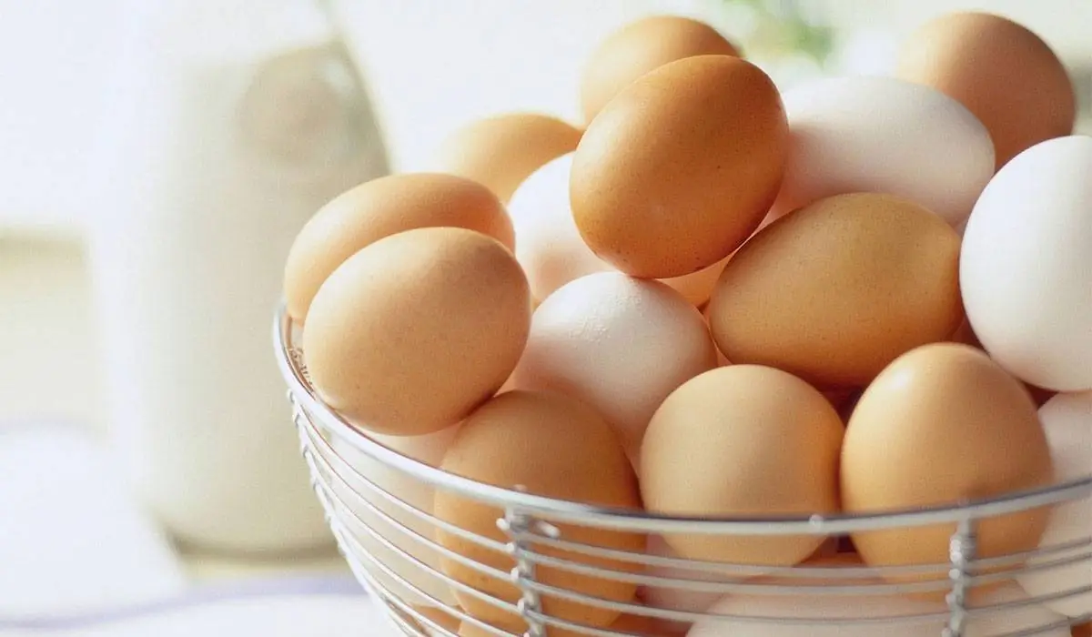 البيض في المنام للحامل - اسرار تفسير الاحلام