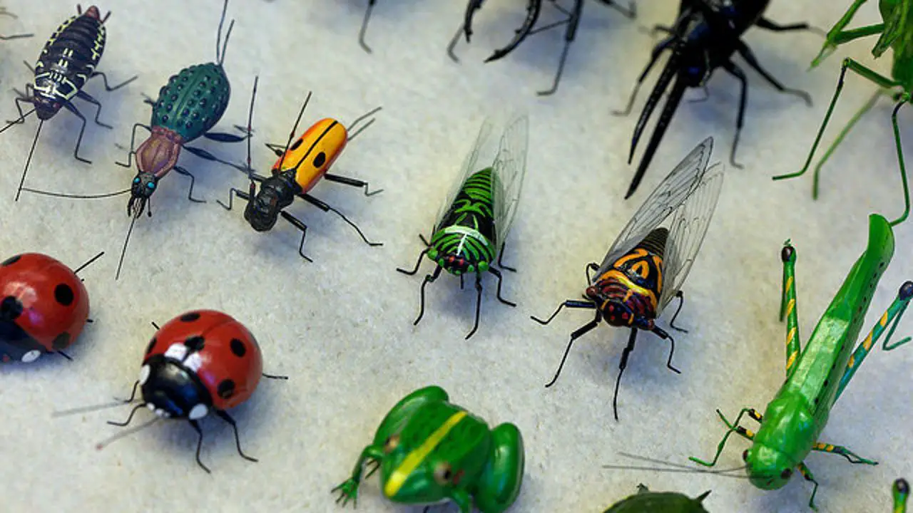 الحشرات الصغيره - اسرار تفسير الاحلام