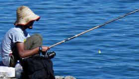 Երազում ամուսնացած կնոջ համար ձեռքով ձուկ բռնելու մասին երազի մեկնաբանություն ըստ Իբն Սիրինի
