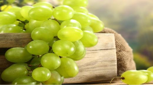 Opi tulkinta Ibn Sirinin unelmasta syödä vihreitä viinirypäleitä