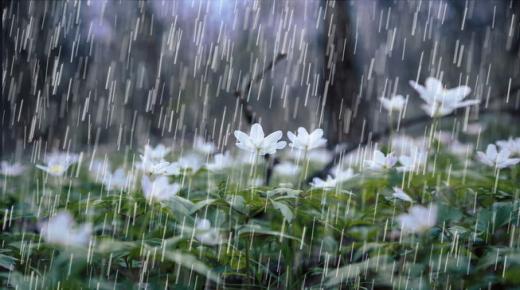 Անձրևի մասին երազի մեկնաբանությունը Իբն Սիրինի և ավագ գիտնականների կողմից