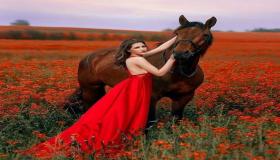 Дізнайтеся про найважливіші тлумачення бачити коней уві сні для самотніх жінок