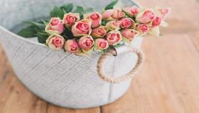 Իմացեք վարդերի մեկնաբանությունը ամուսնացած կնոջ համար Իբն Սիրինի կողմից, և երազի մեկնաբանությունը ամուսնացած կնոջ համար վարդեր հավաքելու մասին: