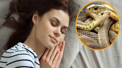 Ibn Sirinin tärkein 20 tulkinta käärmeen näkemisestä unessa