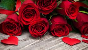 Ibn Sirins fortolkninger af at se roser i en drøm for en gift kvinde
