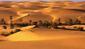 تفسير حلم المشي في الصحراء للعزباء في المنام لابن سيرين