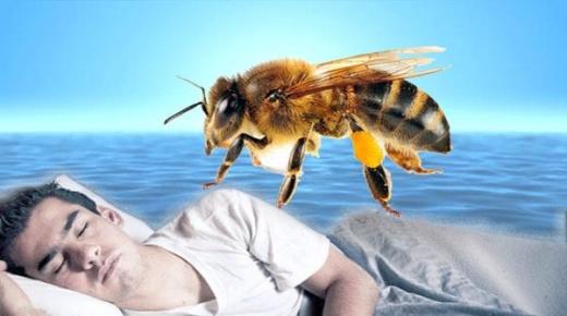 رؤية النحل في المنام والنحل الميت في المنام
