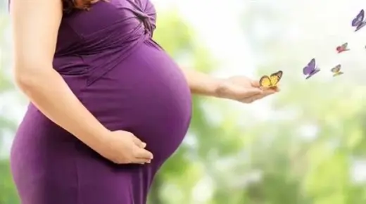 इब्न सिरिन के अनुसार एक गर्भवती एकल महिला के सपने की क्या व्याख्या है?