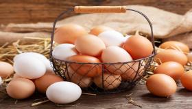 Ахлах эрдэмтдийн хувьд ганц бие эмэгтэйчүүдийн зүүдэнд байгаа өндөгний бэлэг тэмдэг