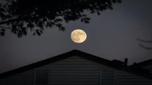 Իմացեք լուսնի մասին երազի մեկնաբանությունը Իբն Սիրինի կողմից