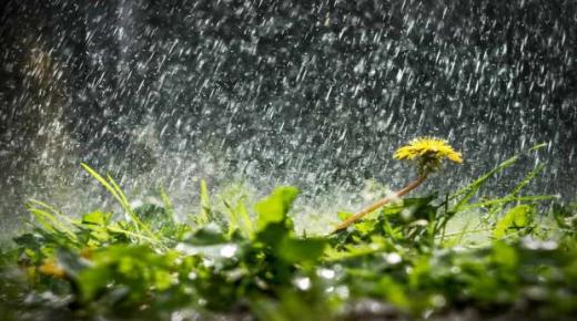इब्न सिरिन द्वारा सपने में भारी बारिश की व्याख्या के बारे में और जानें