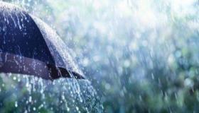 20 найважнейшых тлумачэнняў бачыць у сне дождж ад Ібн Сірына